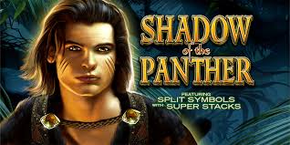Gameplay Mechanics and Features of Shadow of the Panther Slots