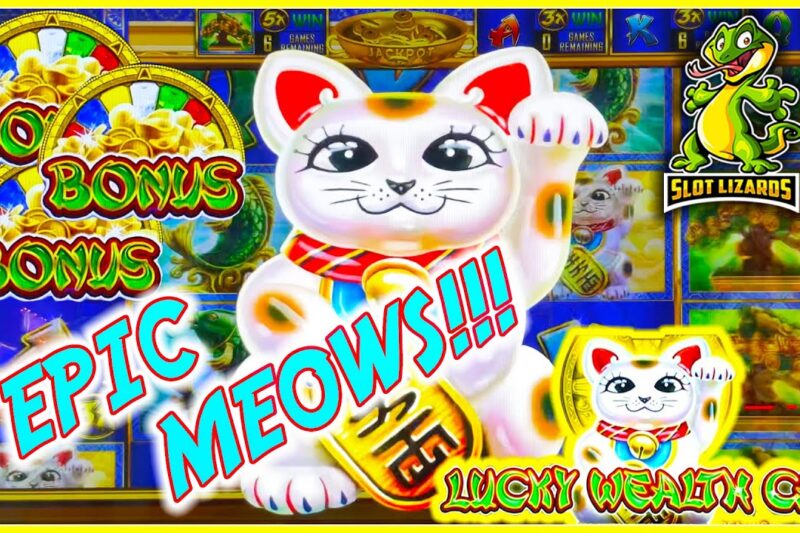 Gameplay Mechanics and Features of Lucky Wealth Cat Prog Slots